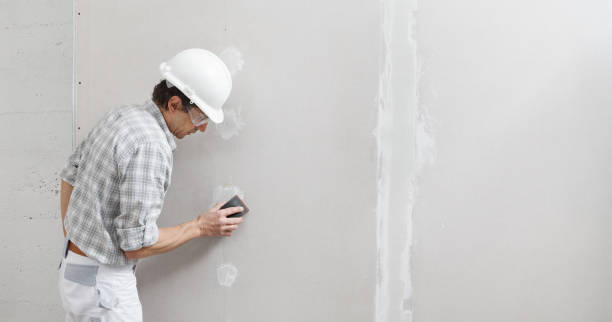 Best Air Quality Testing for Mold Spores  in Fairbury, NE